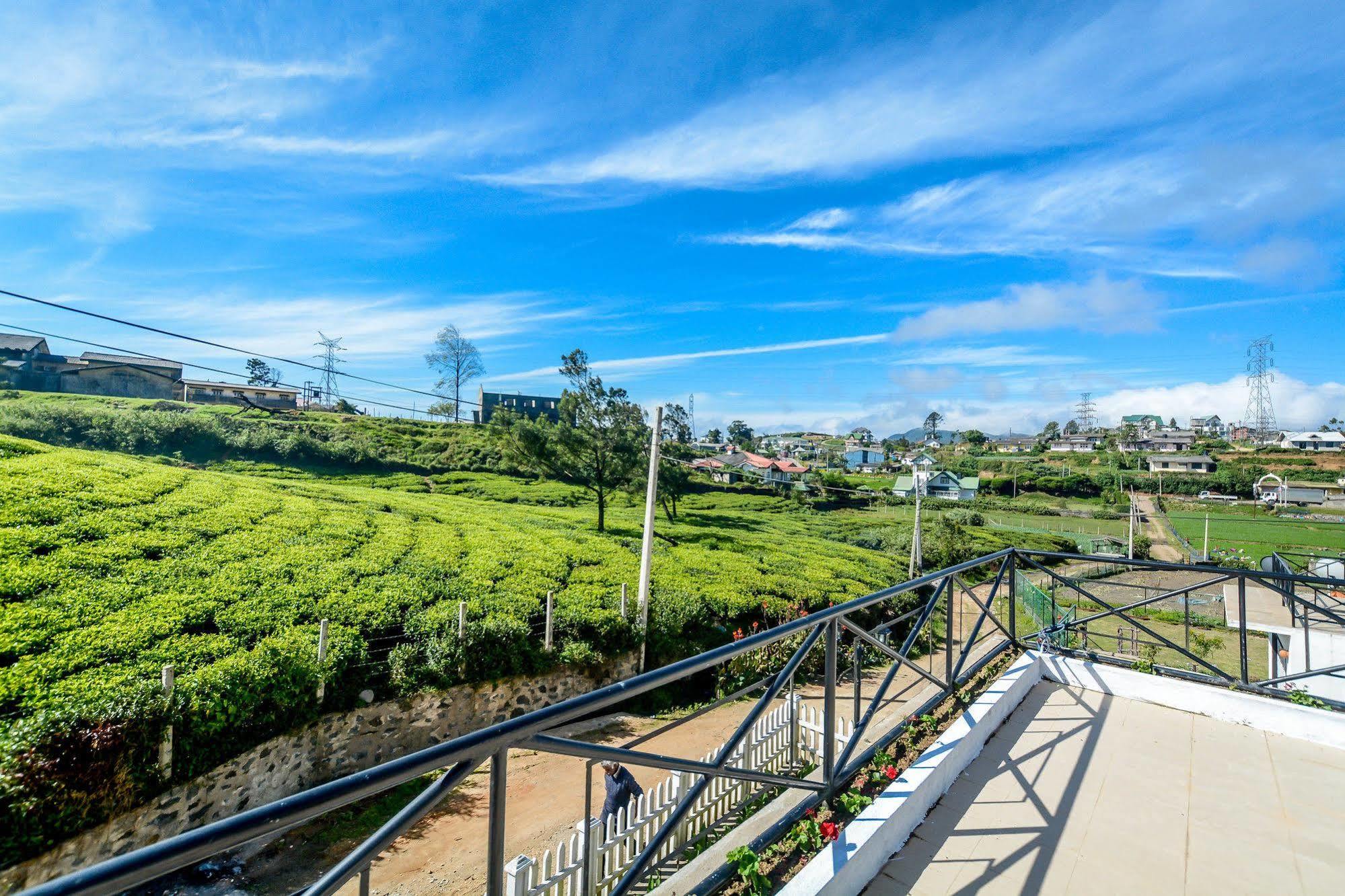 Villa Tea Fields Nuwara Eliya Zewnętrze zdjęcie