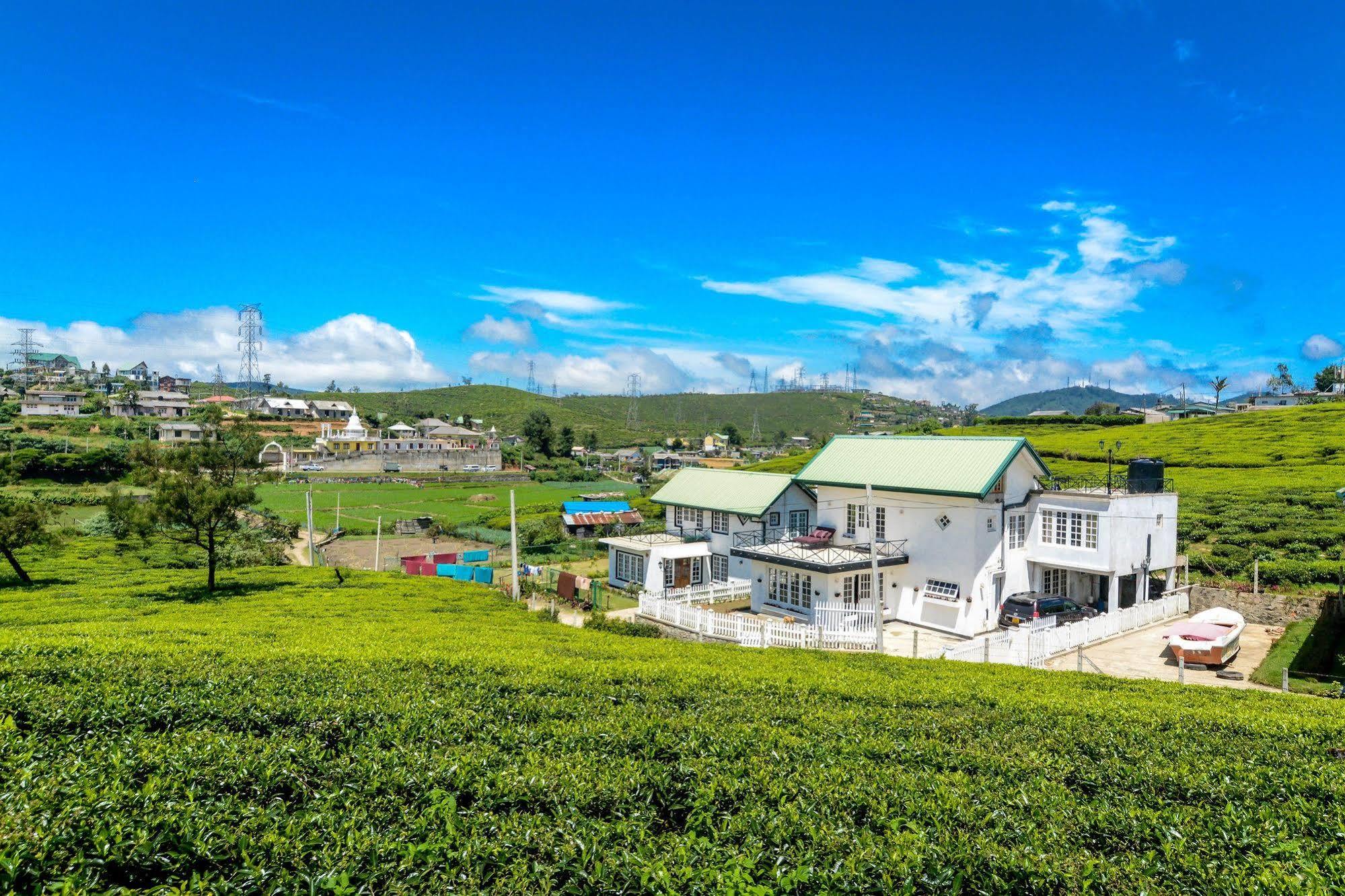 Villa Tea Fields Nuwara Eliya Zewnętrze zdjęcie