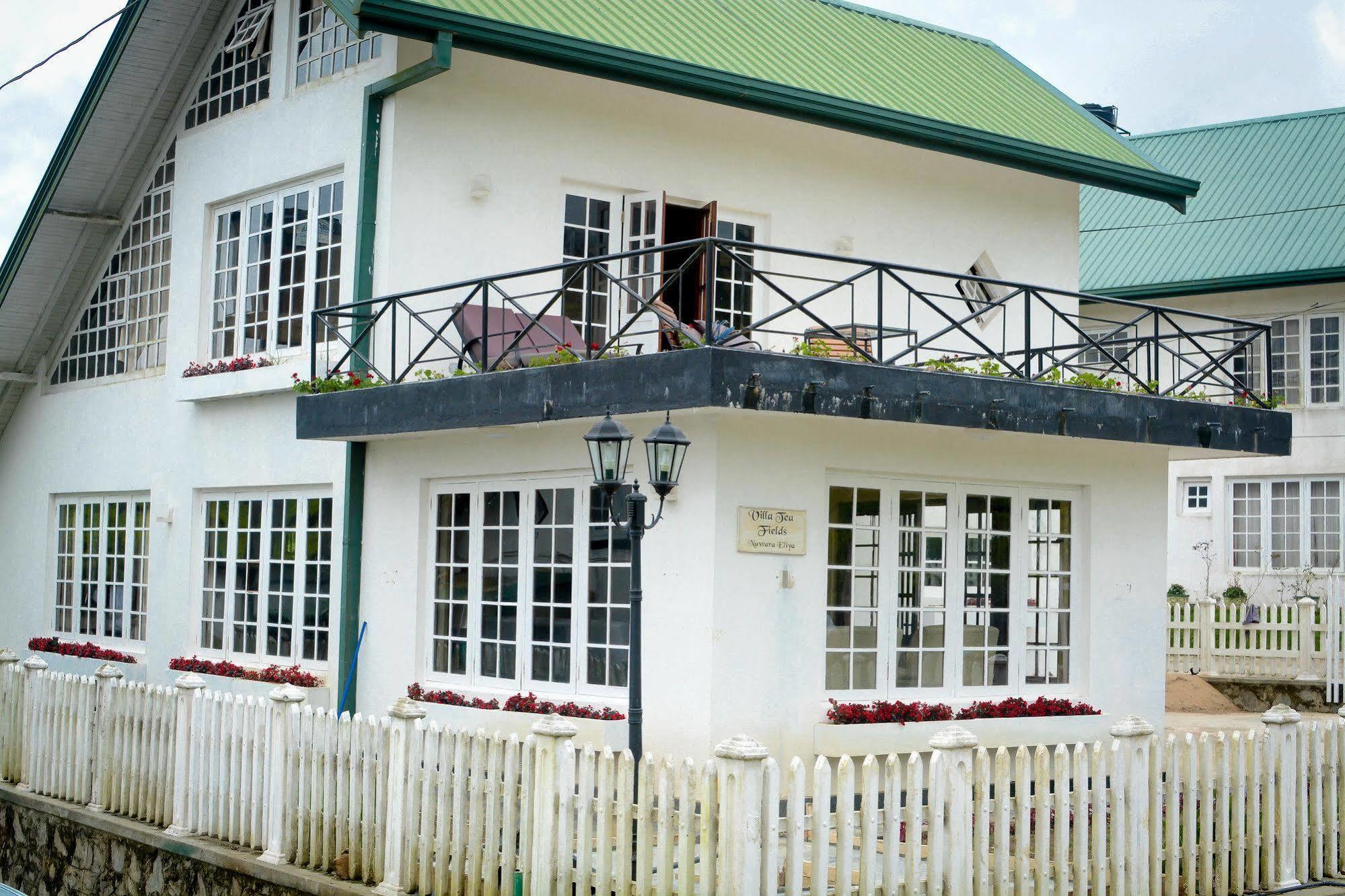 Villa Tea Fields Nuwara Eliya Zewnętrze zdjęcie