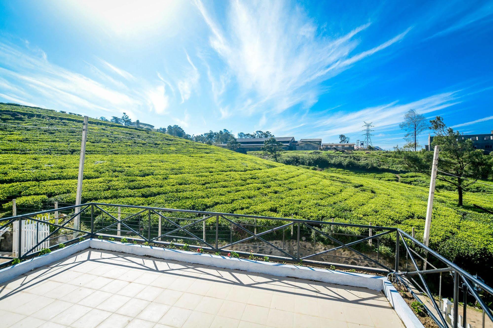 Villa Tea Fields Nuwara Eliya Zewnętrze zdjęcie